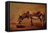 The Donkey-Gustave Courbet-Framed Stretched Canvas