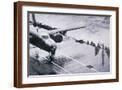 Brown Frame