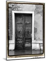 The Doors of Venice III-Laura Denardo-Mounted Art Print