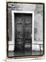 The Doors of Venice III-Laura Denardo-Mounted Art Print