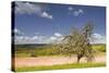 The Dordogne Countryside in Spring Time, Dordogne, France, Europe-Julian Elliott-Stretched Canvas