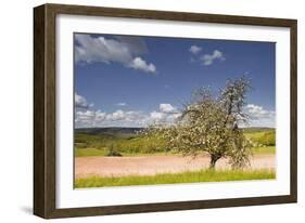 The Dordogne Countryside in Spring Time, Dordogne, France, Europe-Julian Elliott-Framed Photographic Print