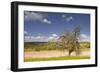 The Dordogne Countryside in Spring Time, Dordogne, France, Europe-Julian Elliott-Framed Photographic Print