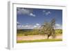 The Dordogne Countryside in Spring Time, Dordogne, France, Europe-Julian Elliott-Framed Photographic Print