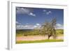 The Dordogne Countryside in Spring Time, Dordogne, France, Europe-Julian Elliott-Framed Photographic Print