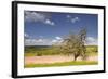 The Dordogne Countryside in Spring Time, Dordogne, France, Europe-Julian Elliott-Framed Photographic Print