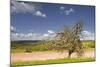 The Dordogne Countryside in Spring Time, Dordogne, France, Europe-Julian Elliott-Mounted Photographic Print