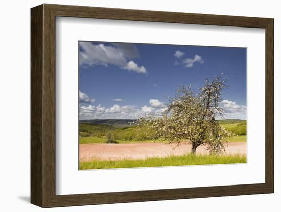 The Dordogne Countryside in Spring Time, Dordogne, France, Europe-Julian Elliott-Framed Photographic Print