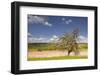 The Dordogne Countryside in Spring Time, Dordogne, France, Europe-Julian Elliott-Framed Photographic Print