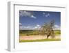 The Dordogne Countryside in Spring Time, Dordogne, France, Europe-Julian Elliott-Framed Photographic Print