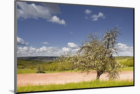 The Dordogne Countryside in Spring Time, Dordogne, France, Europe-Julian Elliott-Mounted Photographic Print