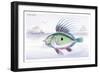 The Dory-Robert Hamilton-Framed Premium Giclee Print