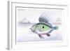 The Dory-Robert Hamilton-Framed Art Print