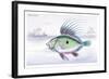 The Dory-Robert Hamilton-Framed Art Print