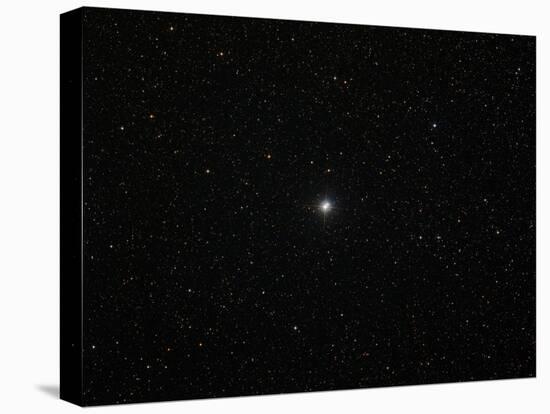 The Double Star Albireo in the Constellation Cygnus-Stocktrek Images-Stretched Canvas