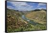 The Douro River and a Hotel-Ship in the Valeira Dam. Sao Joao Da Pesqueira, Portugal-Mauricio Abreu-Framed Stretched Canvas