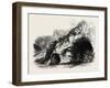 The Dove Holes, Dove Dale, , Peak District, England, Uk-null-Framed Giclee Print