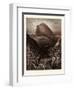 The Dove Sent Forth from the Ark-Gustave Dore-Framed Giclee Print