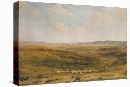 The Downs near Lewes (Seaford Cliff in the distance), c1887-Thomas Collier-Stretched Canvas