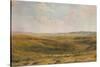 The Downs near Lewes (Seaford Cliff in the distance), c1887-Thomas Collier-Stretched Canvas