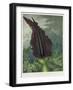 The Dragon Arum, engraved by Ward, from 'The Temple of Flora' by Robert Thornton, pub. 1801-Peter Charles Henderson-Framed Giclee Print