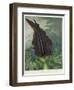 The Dragon Arum, engraved by Ward, from 'The Temple of Flora' by Robert Thornton, pub. 1801-Peter Charles Henderson-Framed Giclee Print