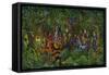 The Dragon Hunters-Bill Bell-Framed Stretched Canvas