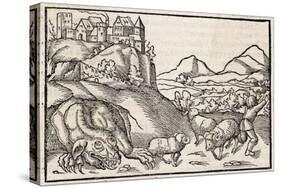 The Dragon of Krakow Poland Scares a Shepherd-Sebastian Munster-Stretched Canvas