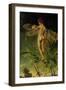 The Dragonfly-Nellie Joshua-Framed Giclee Print