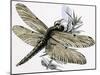 The Dragonfly-R. B. Davis-Mounted Giclee Print