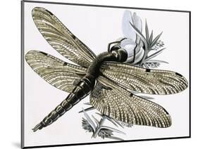 The Dragonfly-R. B. Davis-Mounted Giclee Print