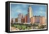 The Drake Hotel, Chicago, Illinois-null-Framed Stretched Canvas
