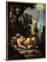 The Dream of Jacob-Alessandro Allori-Stretched Canvas
