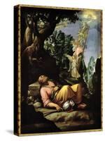 The Dream of Jacob-Alessandro Allori-Stretched Canvas