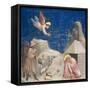 The Dream of Joachim, circa 1305-Giotto di Bondone-Framed Stretched Canvas