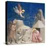 The Dream of Joachim, circa 1305-Giotto di Bondone-Stretched Canvas