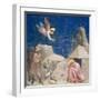 The Dream of Joachim, circa 1305-Giotto di Bondone-Framed Giclee Print