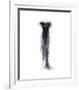 The Dressing Room III-Andrea Stajan-ferkul-Framed Giclee Print