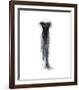 The Dressing Room III-Andrea Stajan-ferkul-Framed Giclee Print