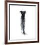 The Dressing Room III-Andrea Stajan-ferkul-Framed Giclee Print