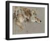 The Drifter-Julie Chapman-Framed Art Print