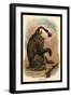 The Drill-G.r. Waterhouse-Framed Art Print