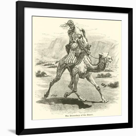 The Dromedary of the Desert-null-Framed Giclee Print