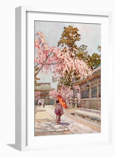 The Drooping Cherry-Ella Du Cane-Framed Giclee Print