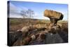 The Druids Writing Desk at Brimham Rocks, Nidderdale, North Yorkshire, England, UK-Mark Sunderland-Stretched Canvas