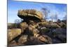 The Druids Writing Desk at Brimham Rocks, Nidderdale, North Yorkshire, England, UK-Mark Sunderland-Mounted Photographic Print