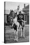 The Drum Horse of the 17th Lancers, 1896-Gregory & Co-Stretched Canvas