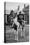 The Drum Horse of the 17th Lancers, 1896-Gregory & Co-Stretched Canvas