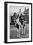 The Drum Horse of the 17th Lancers, 1896-Gregory & Co-Framed Giclee Print