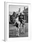 The Drum Horse of the 17th Lancers, 1896-Gregory & Co-Framed Giclee Print